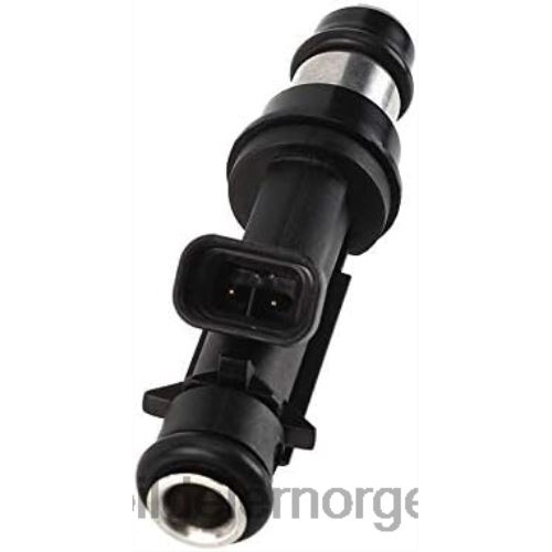 Bildeler Norge - fj319 25313185 12569573 drivstoffinjeksjon T64T2145 CHEROLET&GM
