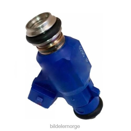 NBF bildeler Norge - 24578819 drivstoffinjektor for chevrolet prisma onix 1.0l T64T2690