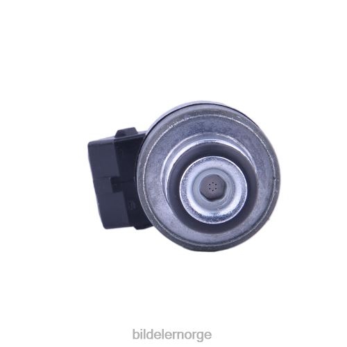 Bildeler Norge - 17089276 drivstoffinjektor for gm T64T2685