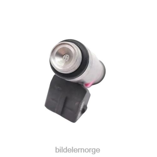 Bildeler førde - iwp067 drivstoffinjektor for fiat palio T64T2724