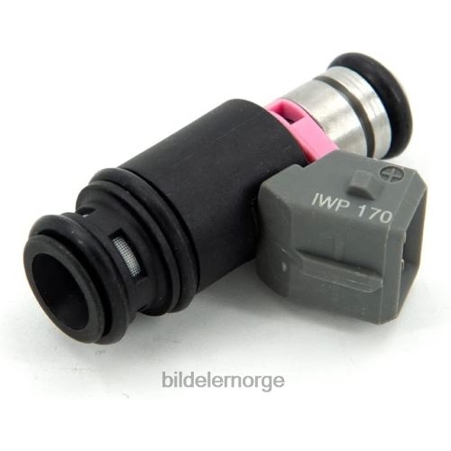 Bildeler lier - iwp170 drivstoffinjektor for volkswagen T64T2712