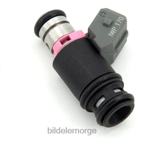 Bildeler Norge - iwp170 drivstoffinnsprøytning T64T2465 FORD