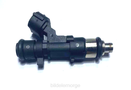 NBF bildeler Norge - drivstoffinjektor 0280158007 166007s000 XL4T1880