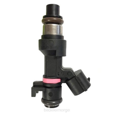 Bildeler Norge - 166006863r drivstoffinjektor XL4T95 RENAULT