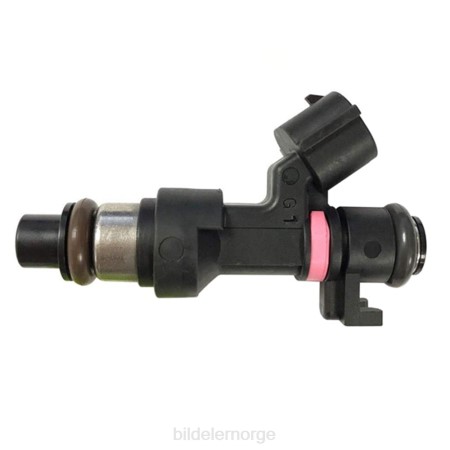 Bildeler Norge - 166006863r drivstoffinjektor XL4T95 RENAULT