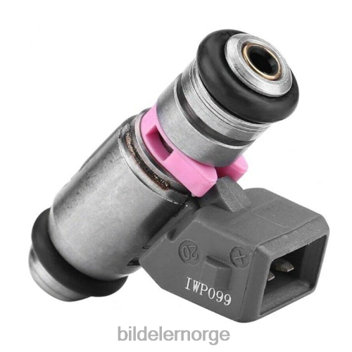 Bildeler Norge - iwp099 drivstoffinjektor for renault T64T2705