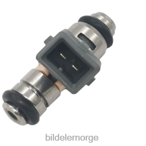 Bildeler Norge - iwp099 drivstoffinjektor for renault T64T2705