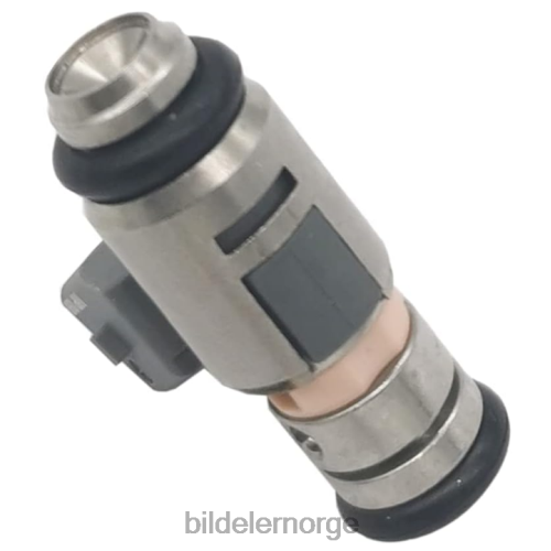 Bildeler Norge - iwp099 drivstoffinjektor for renault T64T2705