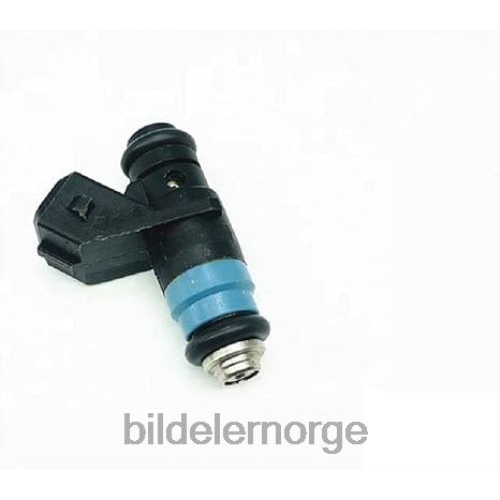 Bildeler førde - 8200132254 drivstoffinnsprøytning T64T2234 RENAULT