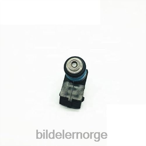 Bildeler førde - 8200132254 drivstoffinnsprøytning T64T2234 RENAULT