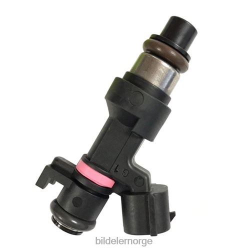 Bildeler mosby - 166006863r drivstoffinjektor for renault T64T2707