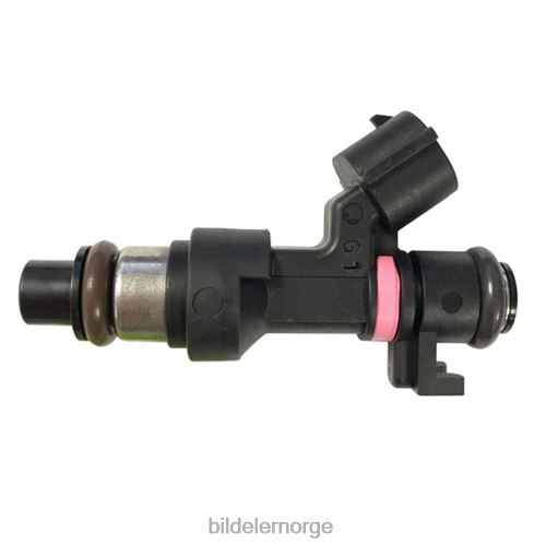 Bildeler mosby - 166006863r drivstoffinjektor for renault T64T2707