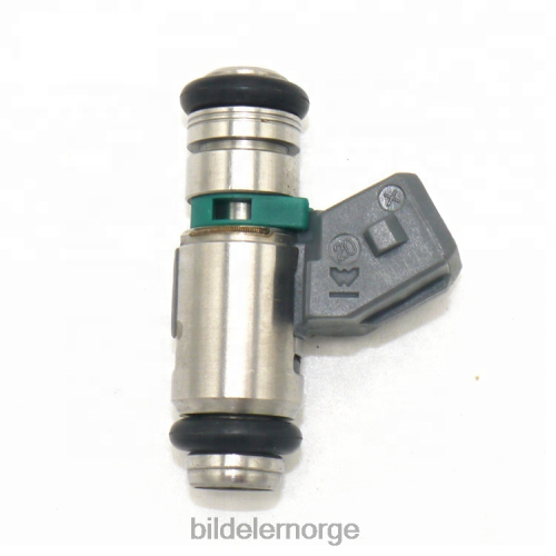 Bildeler stavanger - iwp143 drivstoffinjektor for renault T64T2706