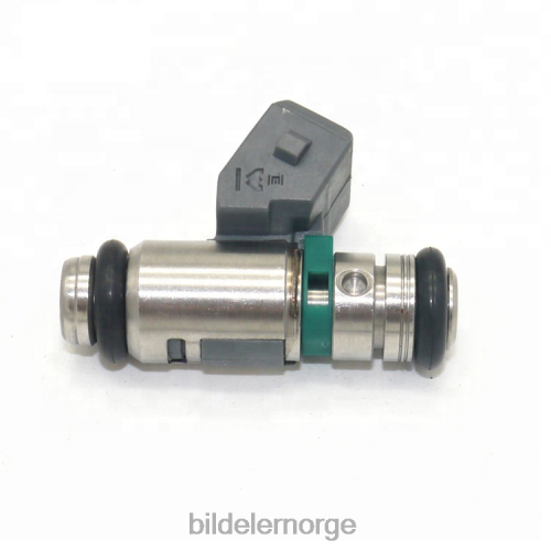 Bildeler stavanger - iwp143 drivstoffinjektor for renault T64T2706