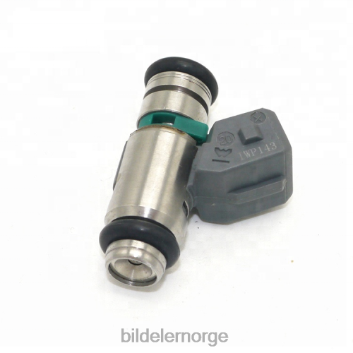Bildeler stavanger - iwp143 drivstoffinjektor for renault T64T2706