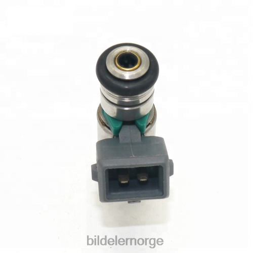 Bildeler stavanger - iwp143 drivstoffinjektor for renault T64T2706