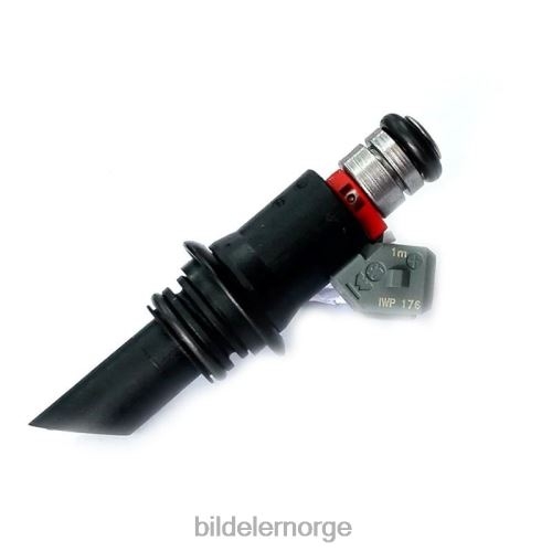 Bildeler Norge - wp176 drivstoffinnsprøytning T64T2385 VW SKODA
