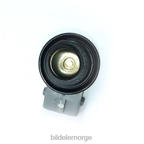 Bildeler Norge - wp176 drivstoffinnsprøytning T64T2385 VW SKODA