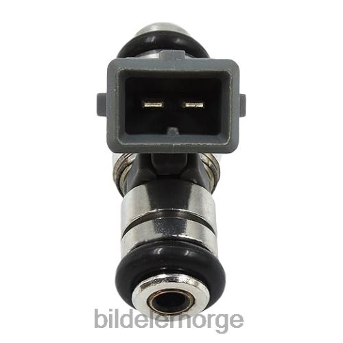 Bildeler på nett - iwp044 50100802 drivstoffinnsprøytning T64T2331 VW SKODA