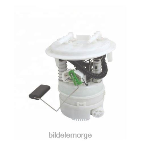 Bildeler stavanger - drivstoffpumpemodul 1607402180 for peugeot T64T2856