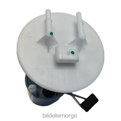 Amerikanske bildeler Norge - drivstoffpumpemodul 2f659h307ab for ford T64T2818