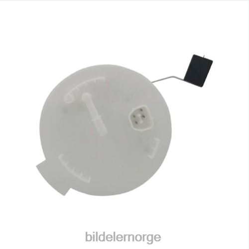 Bildeler lier - drivstoffpumpemodul e2458m fg1143 p76307m for ford T64T2782