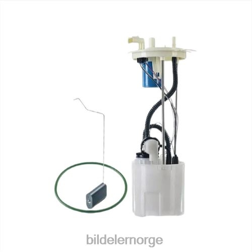 Bildeler lierskogen - drivstoffpumpemodul e2582m p76865m sp2474m bc3z9h307d for ford T64T2813