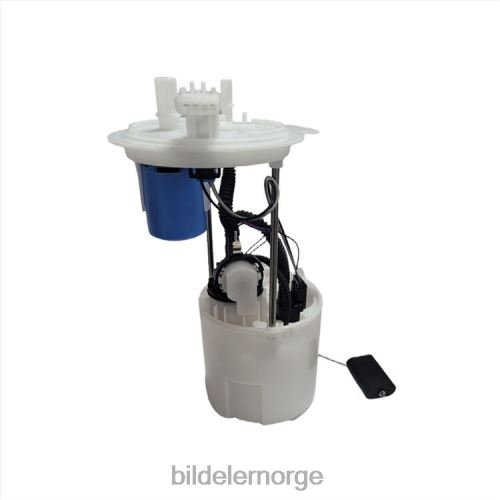 Billige bildeler Norge - drivstoffpumpemodul e2523m sp2496m fg1319 p76463m 9l1z9h307d 9l1z-9h307-d for ford T64T2819
