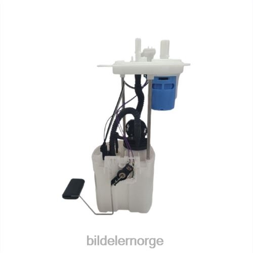 Billige bildeler Norge - drivstoffpumpemodul e2523m sp2496m fg1319 p76463m 9l1z9h307d 9l1z-9h307-d for ford T64T2819