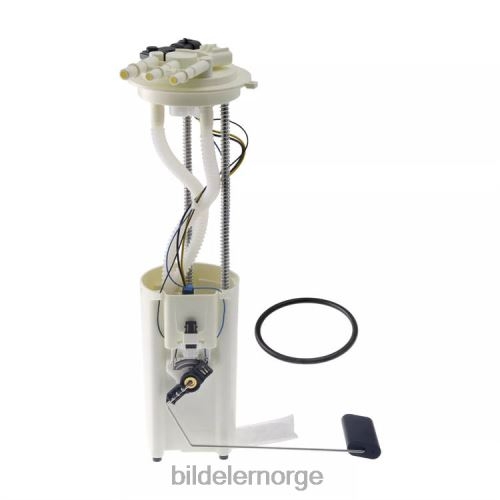 Billige bildeler Norge - drivstoffpumpemodul e3703m fg0376 p76439m 15129825 for gm T64T2899