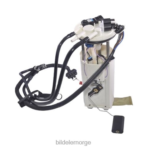 Billige bildeler Norge - drivstoffpumpemodul e3950m fg0115 p74831m for gm T64T2929