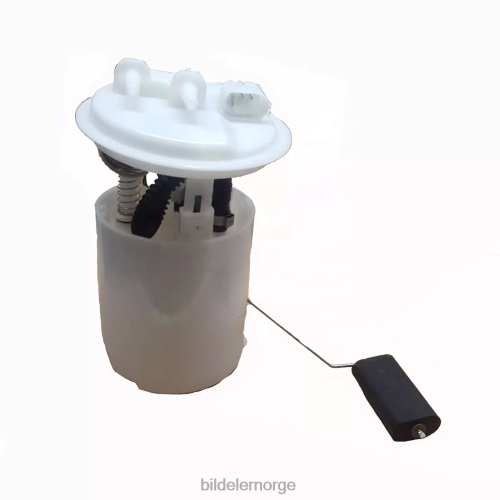 Bildeler lier - drivstoffpumpemodul e10365m 17042-00qaa for renault T64T21202