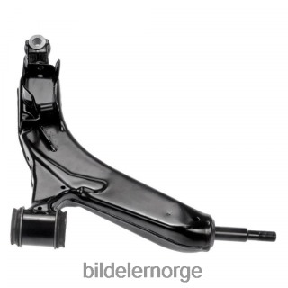 Bildeler førde - Lexus kontrollarm 48620-30290 2LD2HJ734