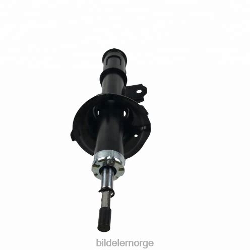 Bildeler førde - 332501 støtdemper for kia picanto passer foran T64T2654