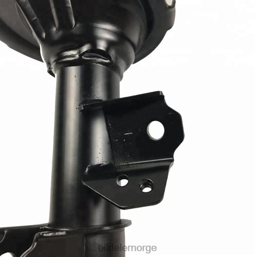 Bildeler førde - 332501 støtdemper for kia picanto passer foran T64T2654