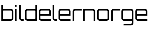 Bildelernorge